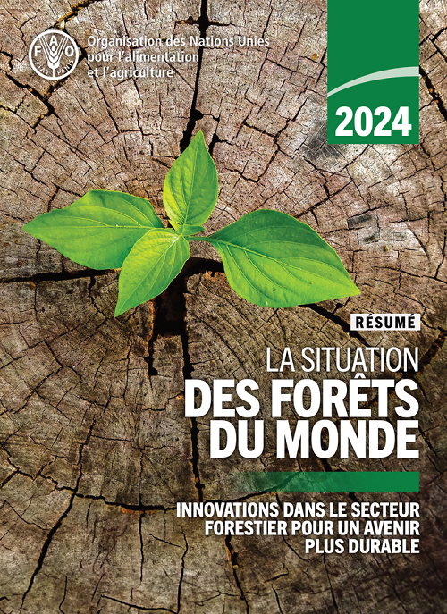 Situation des forêts du monde 2024 : innovations dans le secteur forestier pour un avenir plus durable