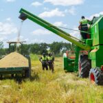 Côte d’Ivoire : la production agricole en plein essor grâce à l’appui du gouvernement