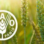 La FAO soutien les CDN agricoles en vue de la COP30