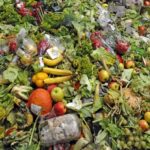 Lutter contre le fléau des pertes alimentaires post-récolte en Afrique