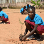 Action climatique : La Côte d’Ivoire inclut les jeunes
