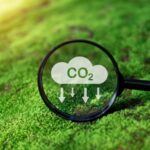 Biocarburants : Sous la loupe de la durabilité