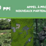 Lancement du 7ème appel à projets du PPI en Afrique