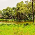 La stratégie climat de la Côte d’Ivoire