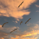 CMS COP15 sur les espèces migratrices : des promesses en l’air ?