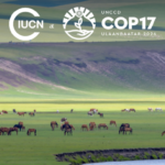 Déclaration de clôture de l’UICN – COP17 CNULCD