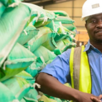 La BAD déploie un plan de 5,1 milliards USD pour amortir les chocs énergétiques et des engrais en Afrique