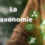 Sénégal : la première taxonomie verte d’Afrique de l’Ouest